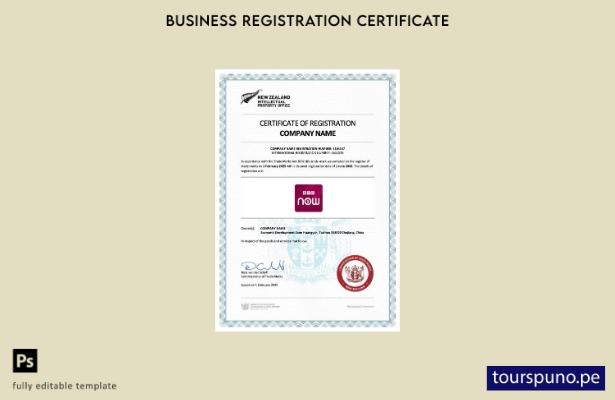 listo para imprimir plantilla de plantilla de certificado de registro de Nueva Z